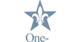 MSAOne Source White Logo